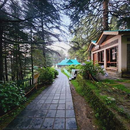 Forest Vibes Kalatop-Rooms And Restaurant Dalhousie Exteriör bild