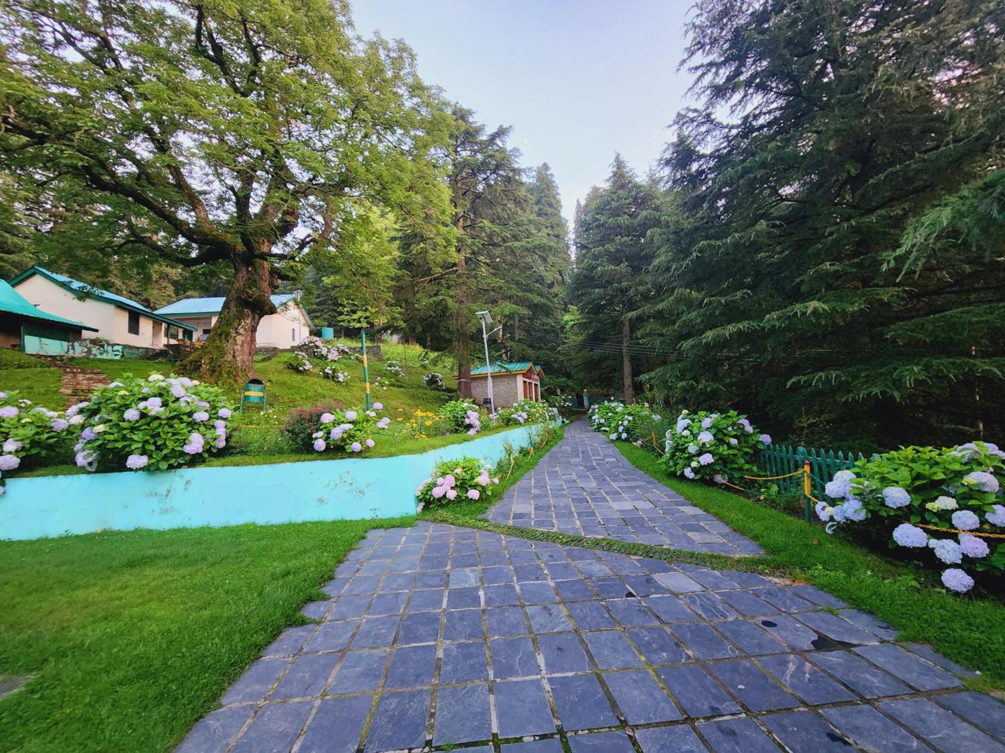 Forest Vibes Kalatop-Rooms And Restaurant Dalhousie Exteriör bild