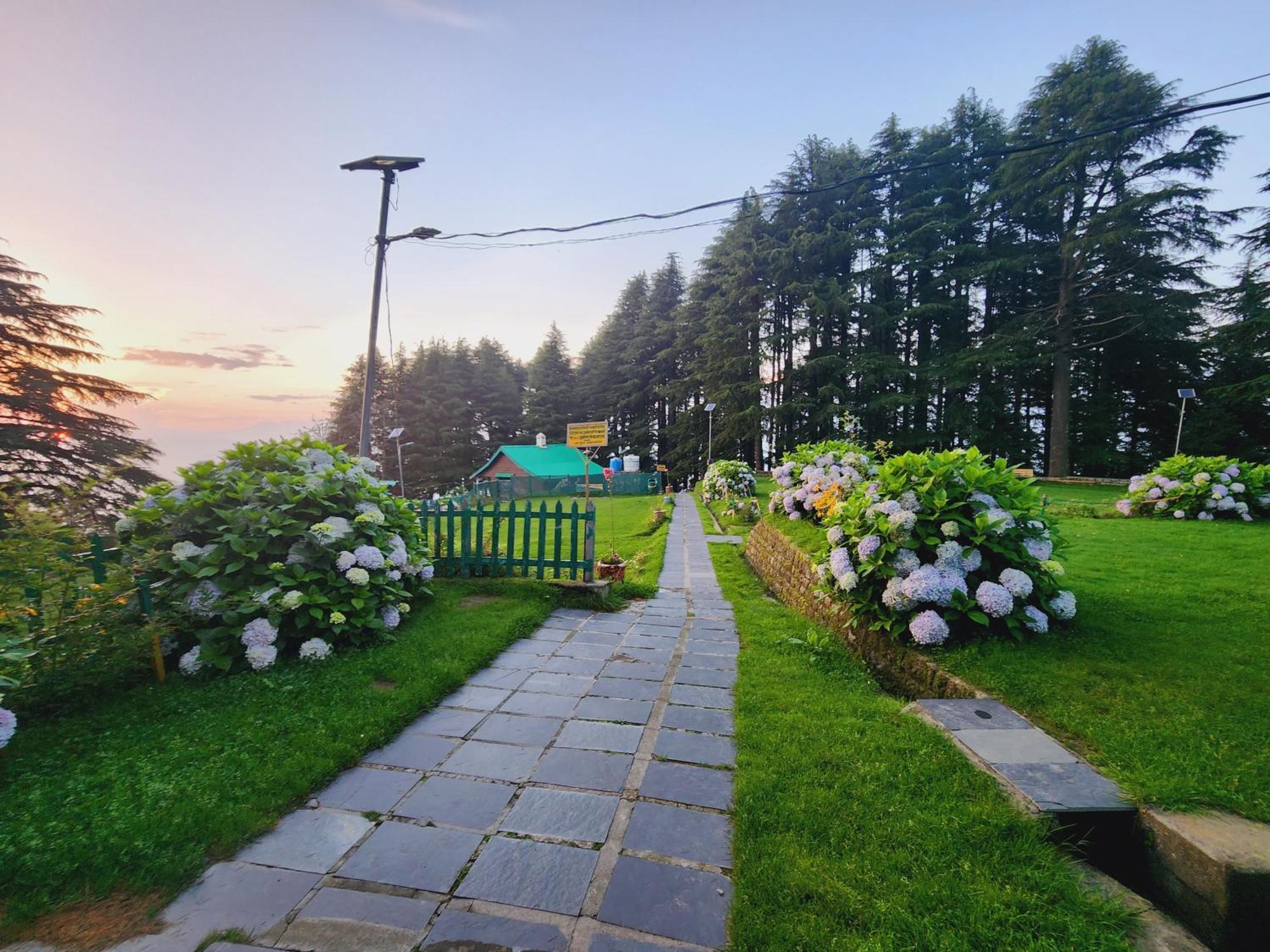 Forest Vibes Kalatop-Rooms And Restaurant Dalhousie Exteriör bild